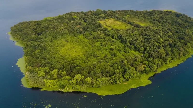 06. Pathiramanal Island(4)