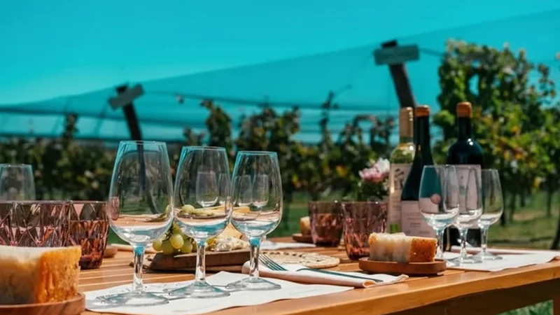 06. Vineyard Restaurants – Local dining experiences(2)