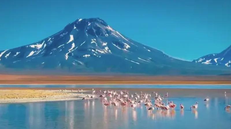 06_Salt_Lagoon_Walks(1)