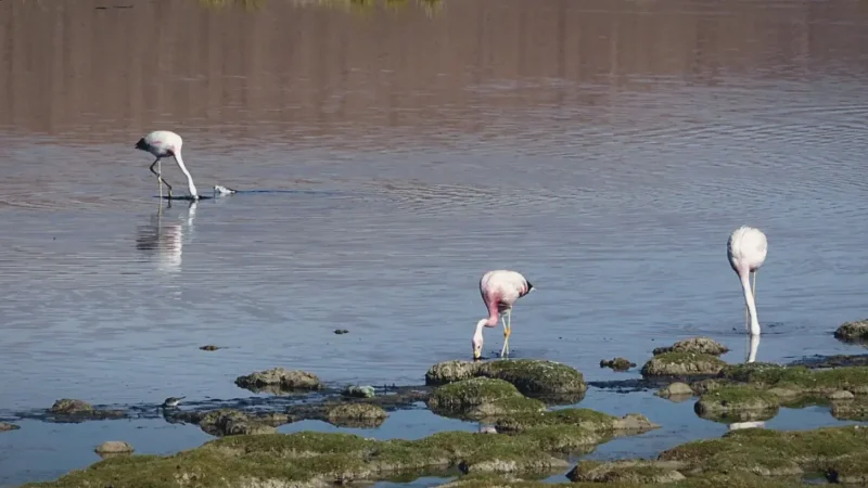 06_Wildlife_Observation_Spots(3)