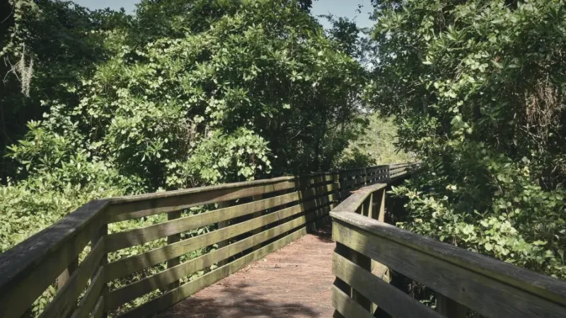 07) Audubon Park(2)