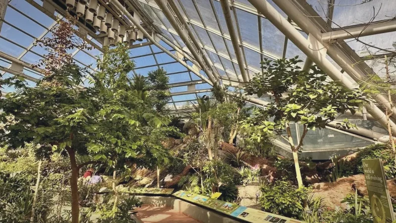 07) Brooklyn Botanic Garden(2)