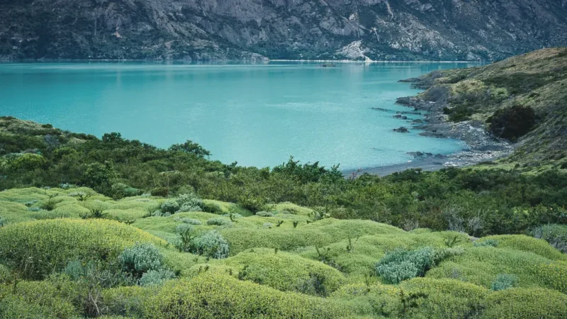 07) Cuernos del Paine(2)