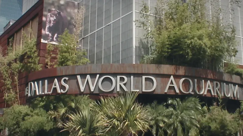07) Dallas World Aquarium(2)