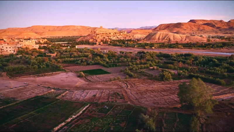 07) Desert Viewpoints(5)
