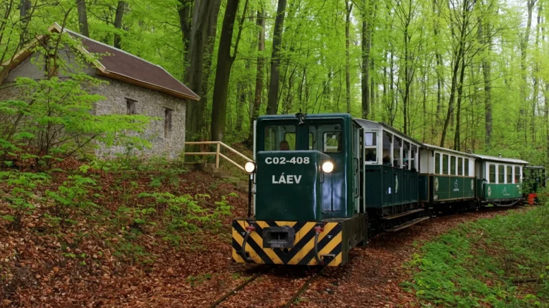 07) Forest Railway(1)