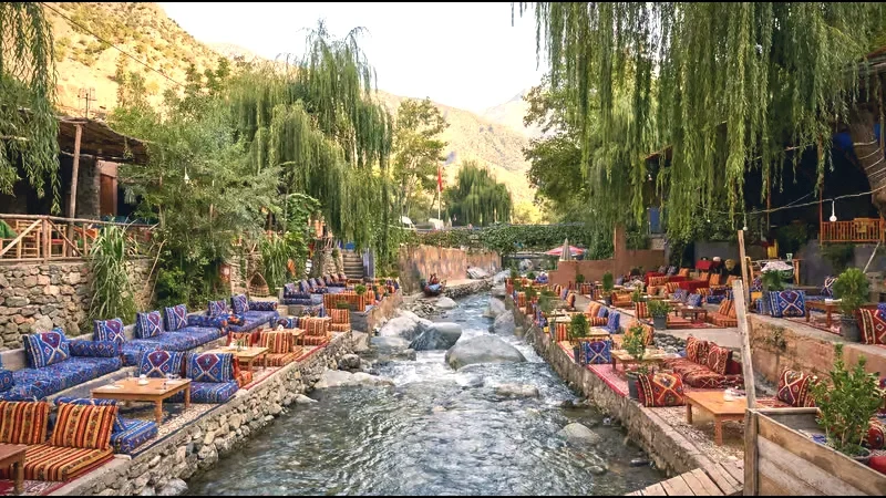 07) Local Herbal Gardens(1)