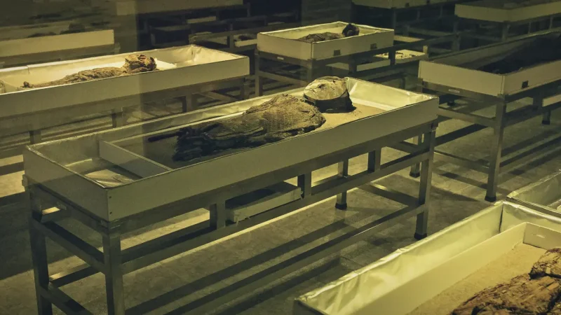 07) Museo San Miguel de Azapa(4)