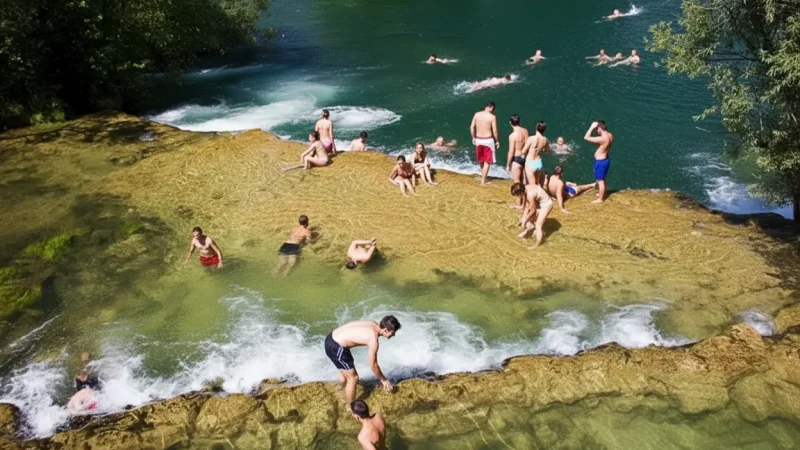 Natural Swimming Pools