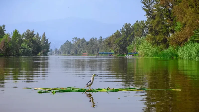 07) Xochimilco Ecological Park(5)