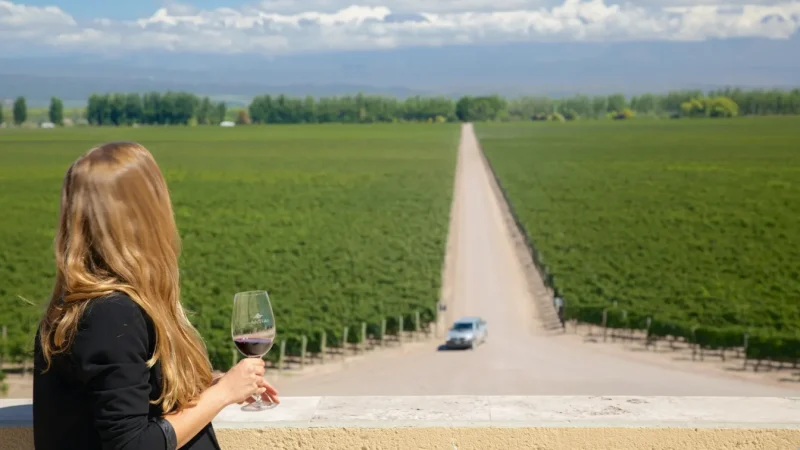 07. Family-Owned Bodegas – Small wineries(1)