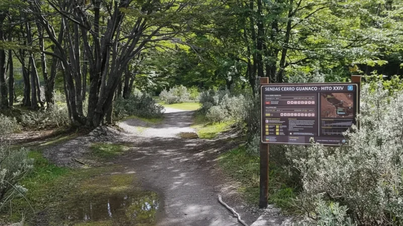 07. Forest Paths – Shaded nature walks(6)