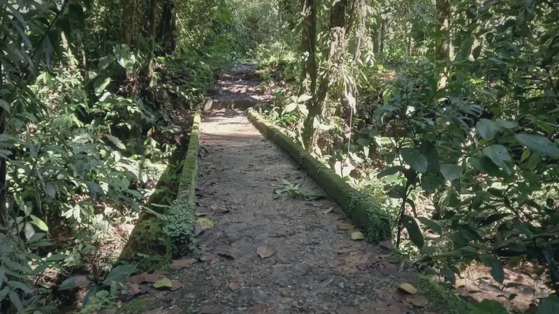 07. Guided Nature Routes – Safe exploration paths_(3)