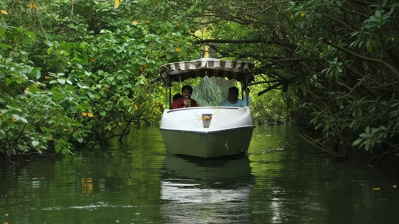 07. Poovar Island – A tranquil backwater destination_(4)