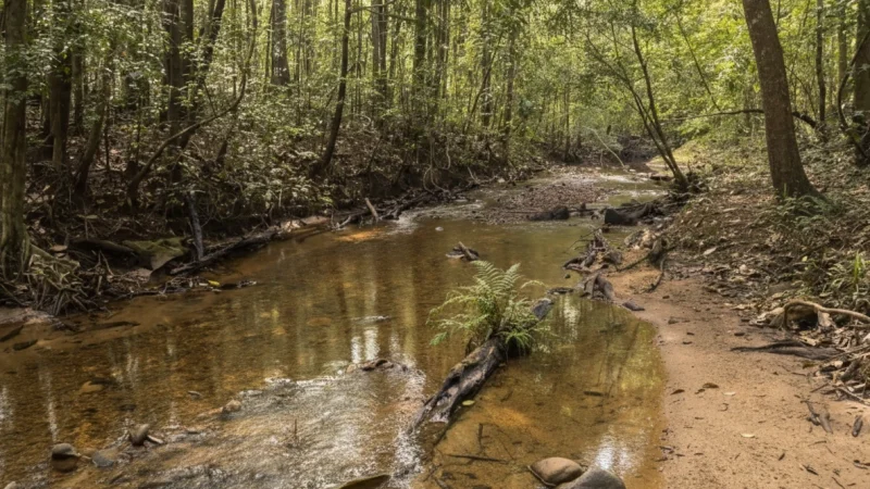 07. Rajaji National Park(4)