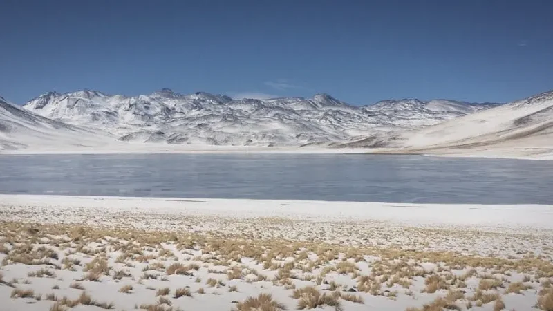 07_Laguna_Chaxa(6)