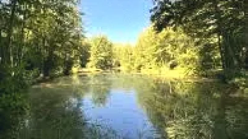 08 8. Lakeside Picnic Areas(3)