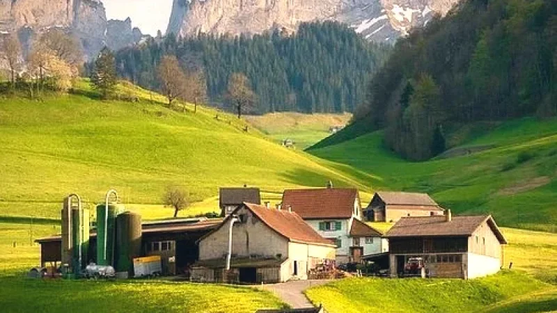 08 Alpine Pastures(1)
