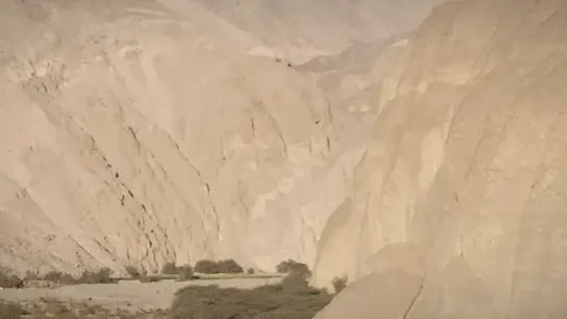 08) Azapa Valley(5)