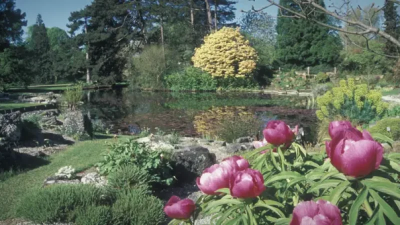08) Cambridge University Botanic Garden(4)