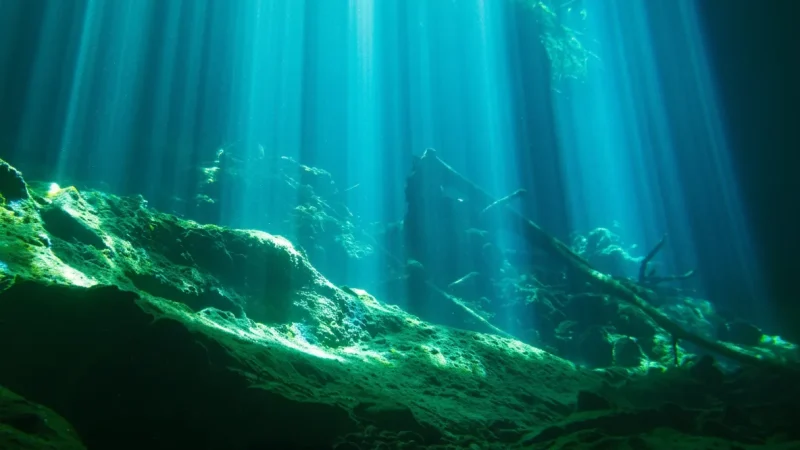 08) Cenotes near Mérida(3)