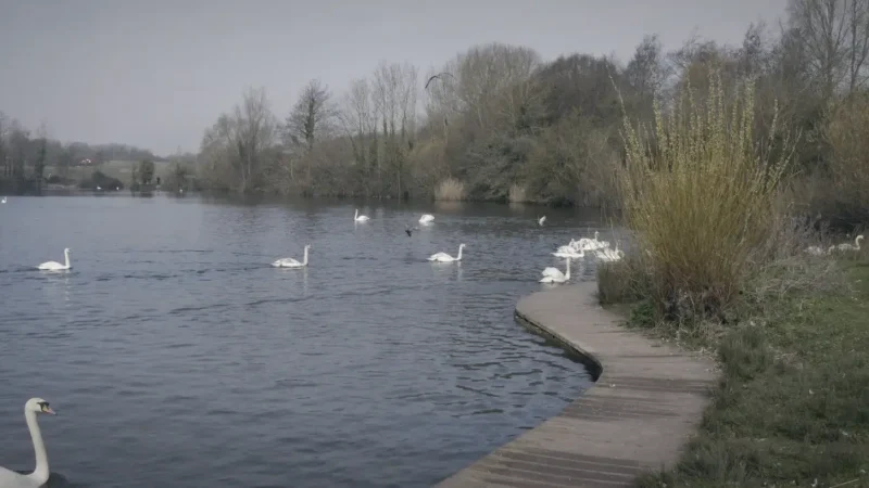 08) Cosmeston Lakes Country Park(2)