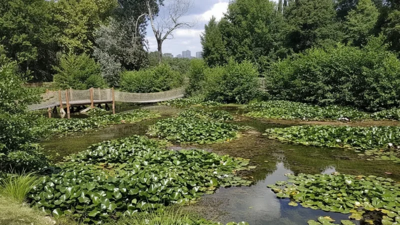 08) Fényes Springs Nature Area(2)