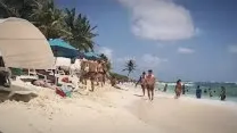 08 Island Viewpoints(3)