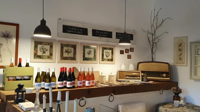 08) Local Wine Taverns(1)