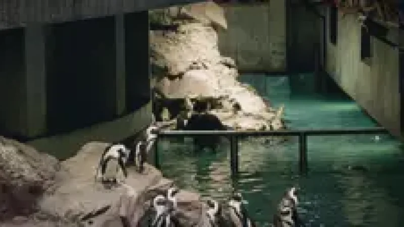 08) New England Aquarium(5)