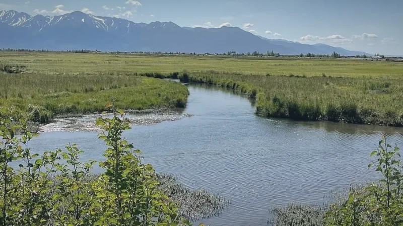 08) Potter Marsh(3)