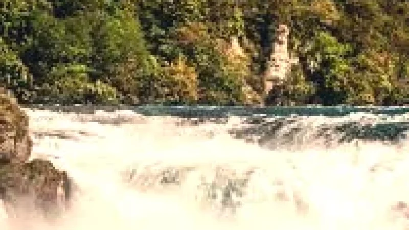 08 Rhine Riverside Walks(6)
