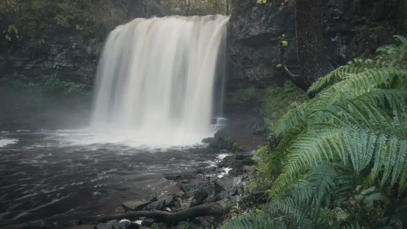 08) Sgwd yr Eira(1)