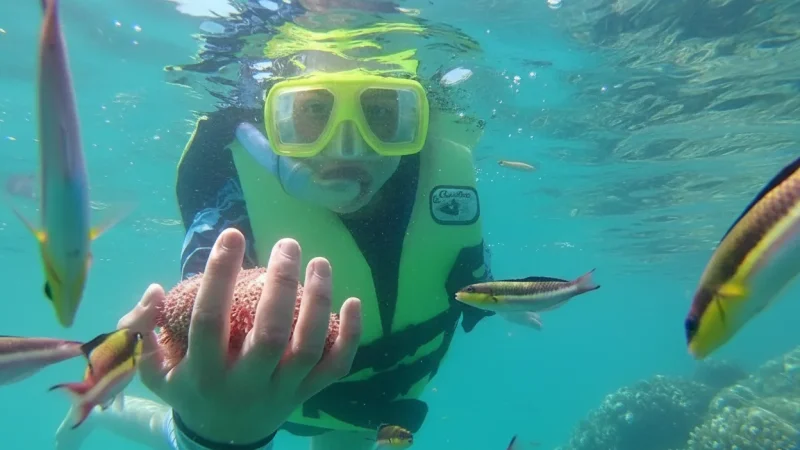 08) Snorkeling Areas(2)