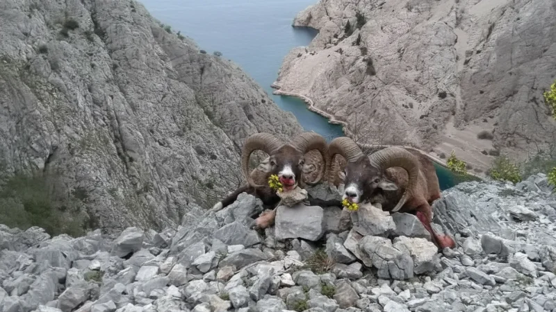 08) Wildlife Observation Areas(1)