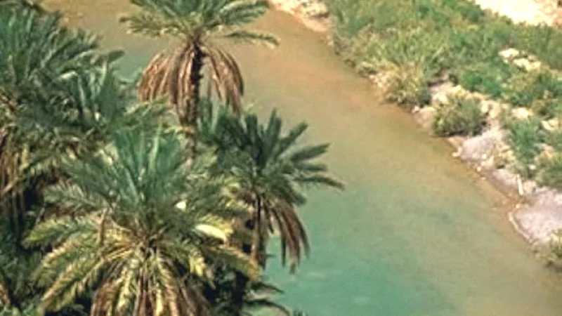 08) Ziz River Banks(2)