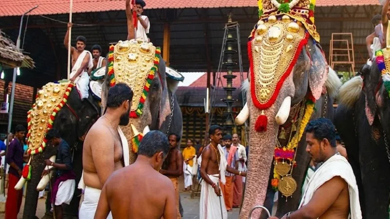 08. Ambalappuzha Sri Krishna Temple(3)