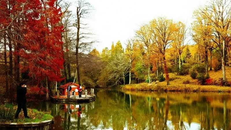 08. Ataturk Arboretum – Botanical research park with lakes_(1)