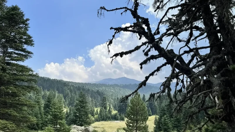 08. Çobankaya Plateau – Known for camping, pine forests, and cool temperatures_(1)