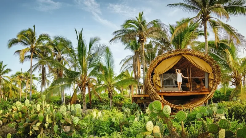 08. Eco-Lodges – Sustainable accommodations(5)