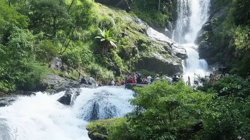 08. Iruppu Falls(3)