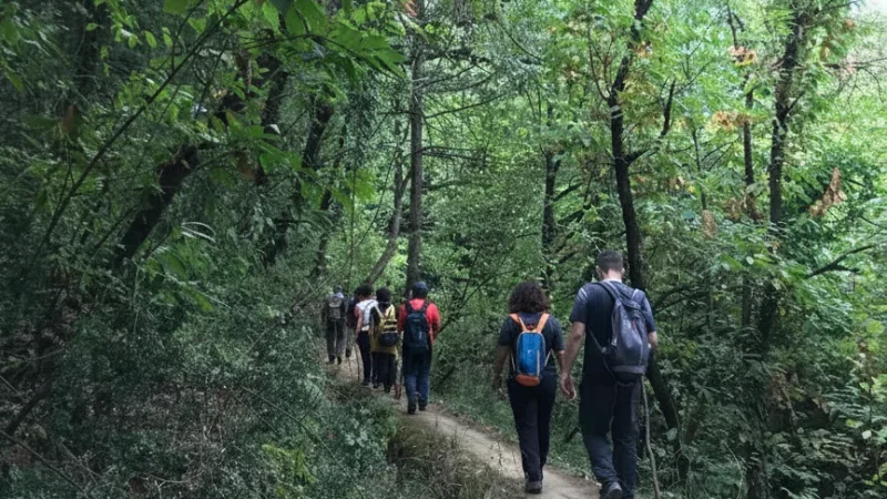 08. Mountain Hiking Trails – Easy forest trails around Uludag foothills_(1)