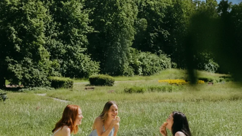 08. Picnic Areas – Family-friendly spots(5)