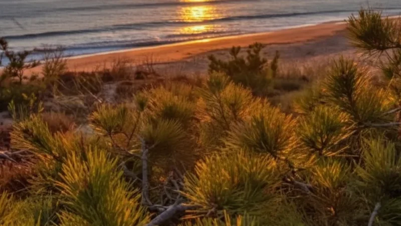 08. Sunset Beach Points – Evening ocean views(6)