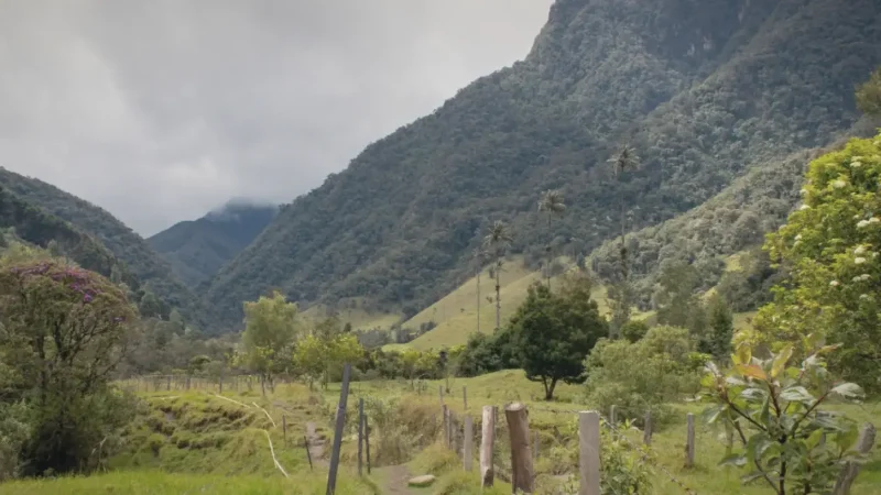 08. Walking Trails – Scenic countryside paths_(5)