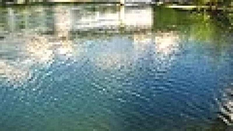 09 Aare River Walks(3)