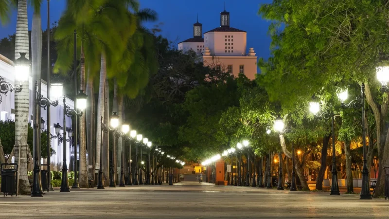 09) Adoquín Street(5)