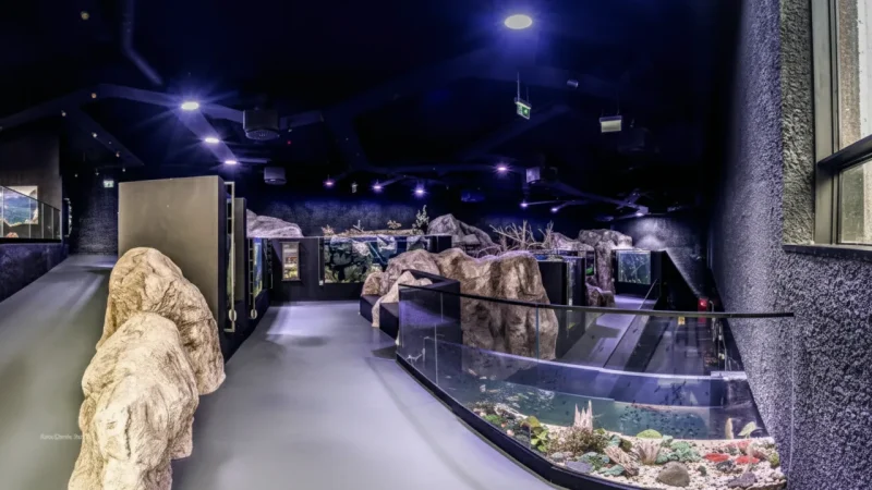 Aquatika Museum