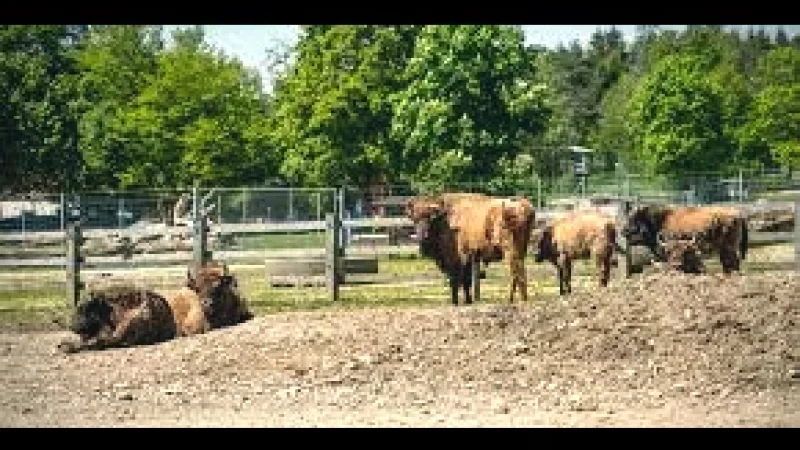 09 Bruderhaus Wildlife Park(2)