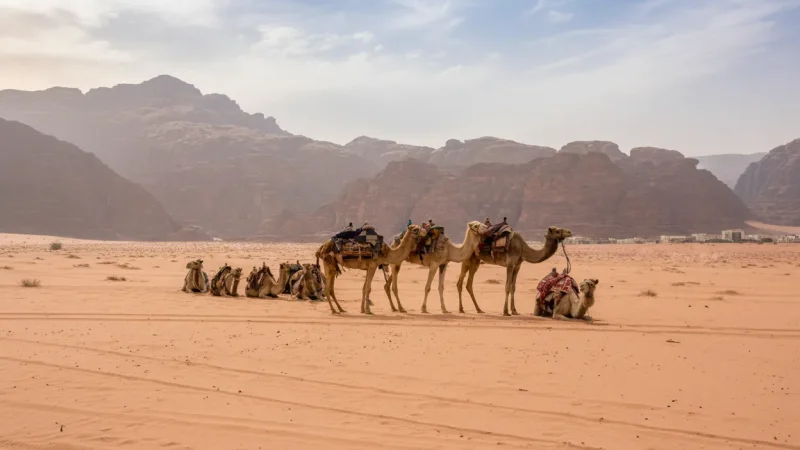 09) Camel Riding Areas(2)